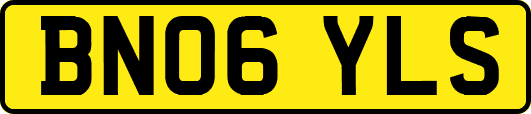 BN06YLS