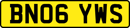 BN06YWS