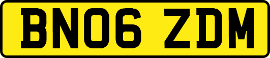 BN06ZDM