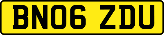 BN06ZDU
