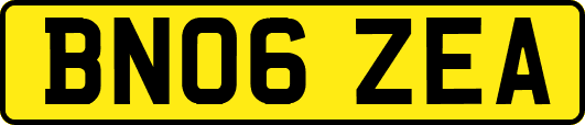 BN06ZEA