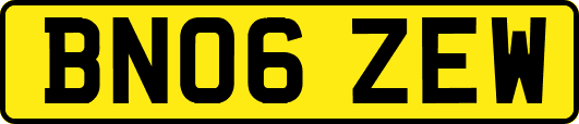 BN06ZEW