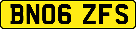 BN06ZFS