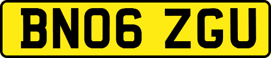 BN06ZGU