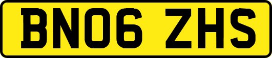 BN06ZHS