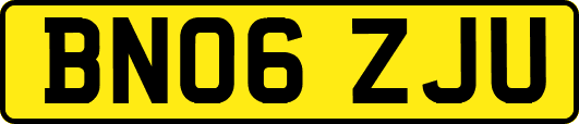 BN06ZJU