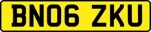 BN06ZKU