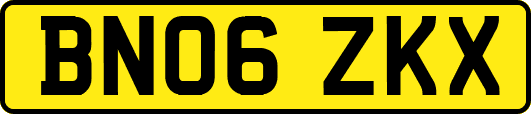 BN06ZKX