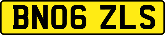 BN06ZLS