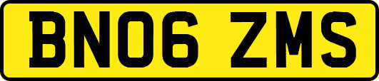 BN06ZMS