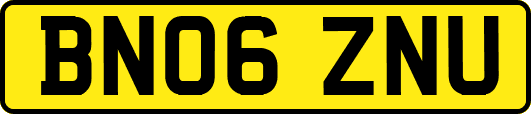 BN06ZNU