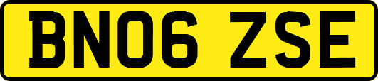 BN06ZSE