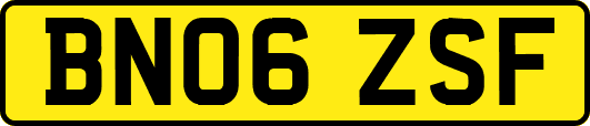 BN06ZSF