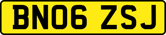 BN06ZSJ