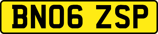 BN06ZSP