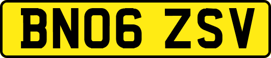 BN06ZSV