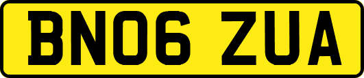 BN06ZUA