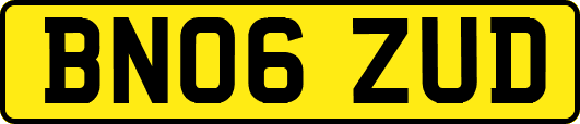 BN06ZUD