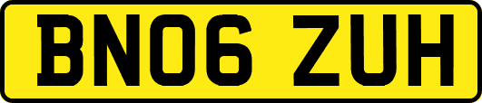 BN06ZUH