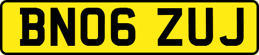 BN06ZUJ