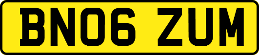 BN06ZUM