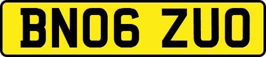 BN06ZUO