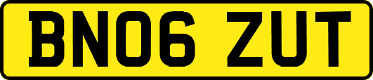 BN06ZUT