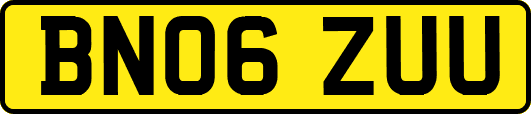 BN06ZUU