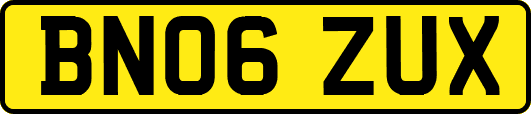BN06ZUX