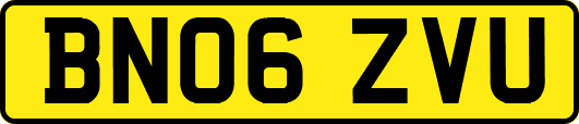 BN06ZVU