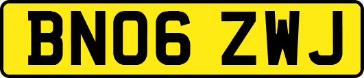 BN06ZWJ