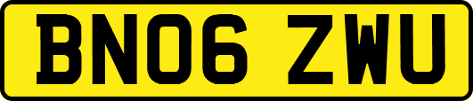 BN06ZWU