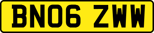 BN06ZWW
