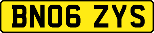 BN06ZYS