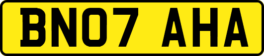 BN07AHA