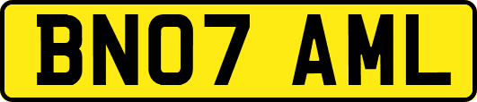 BN07AML