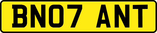 BN07ANT
