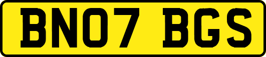 BN07BGS