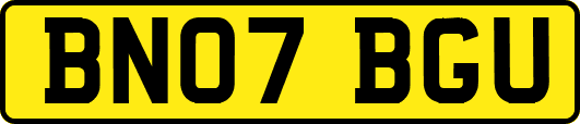 BN07BGU