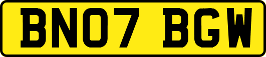 BN07BGW