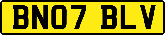 BN07BLV