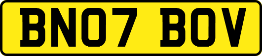 BN07BOV