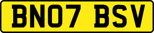BN07BSV