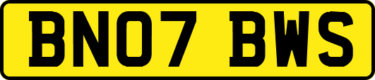 BN07BWS