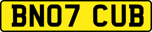 BN07CUB