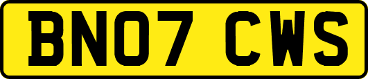 BN07CWS