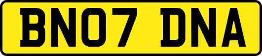 BN07DNA