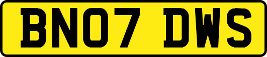BN07DWS