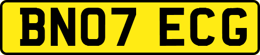 BN07ECG