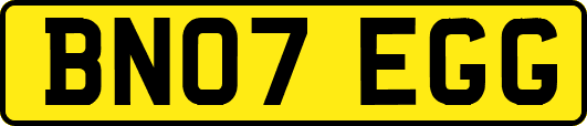 BN07EGG